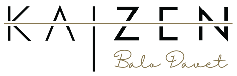kaizen logo